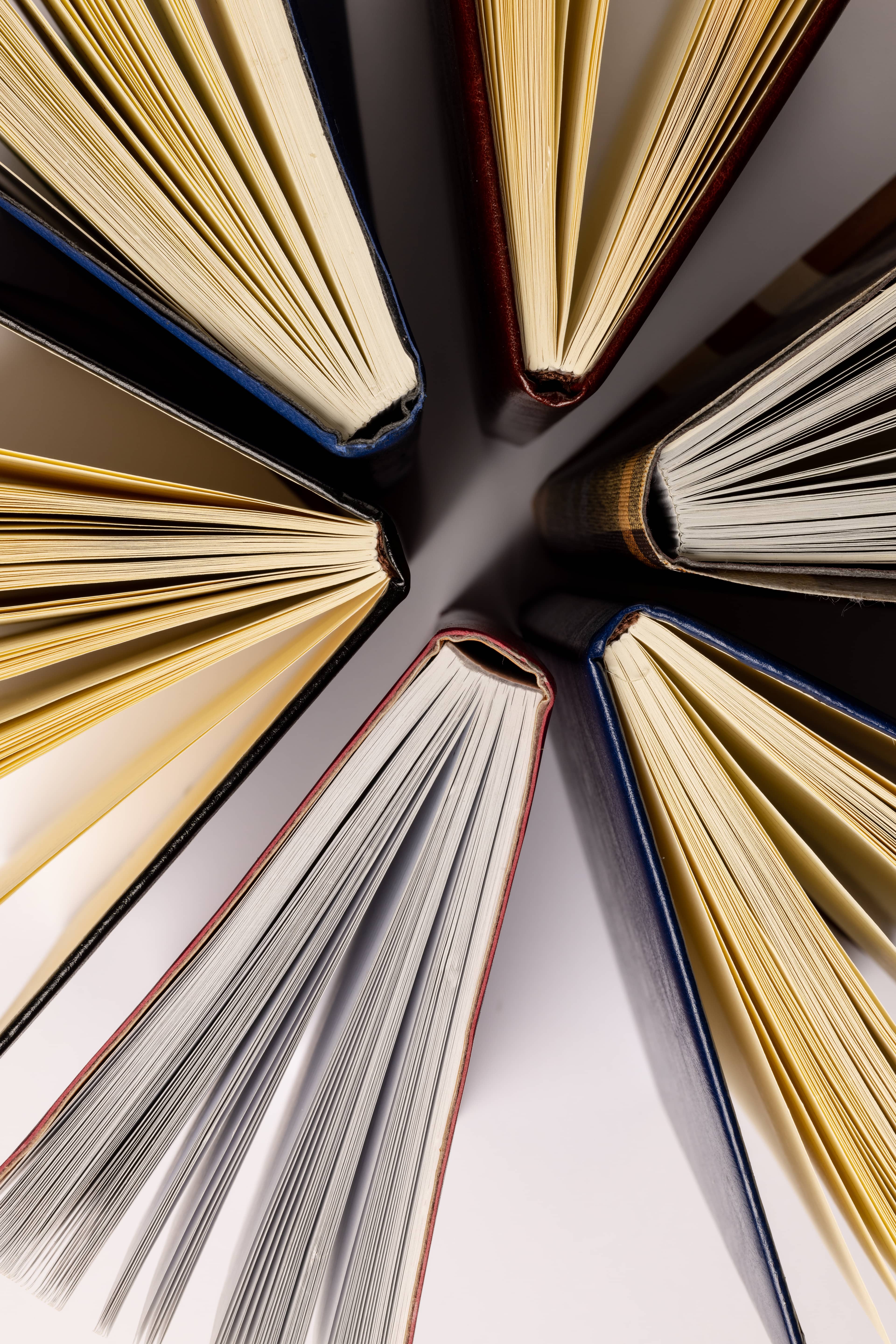 literatura